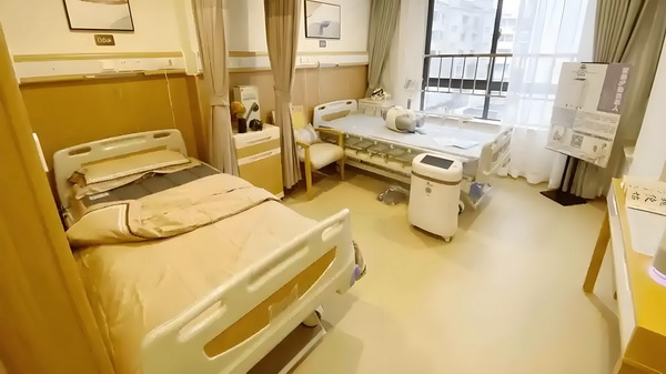 深圳市积分入户排名_陈梦与演员任嘉伦一起打乒乓球，两人系发小+队友 行创新建立间银了时